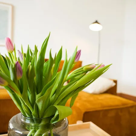 Charmante Altbauwohnung, 2 Kostenfreie Parkplaetze Frankfurt an der Oder